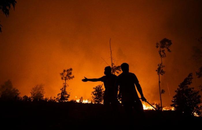 Le Portugal ravagé par les pires incendies de forêt de l’été