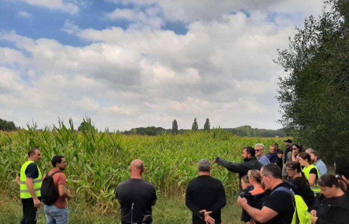 Deux jours après sa disparition dans la Sarthe, Nathalie rentre chez elle, épuisée.