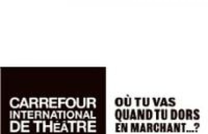 Directrice Marketing et Partenariats | Carrefour international de théâtre