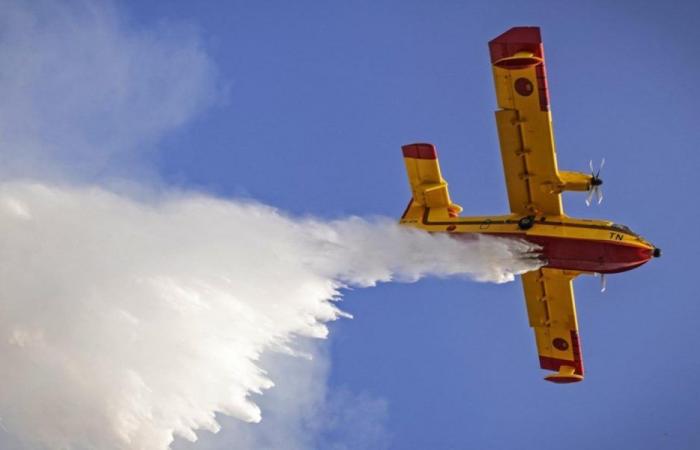 Deux avions Canadair de la Royal Air Force pour lutter contre les incendies de forêt au Portugal