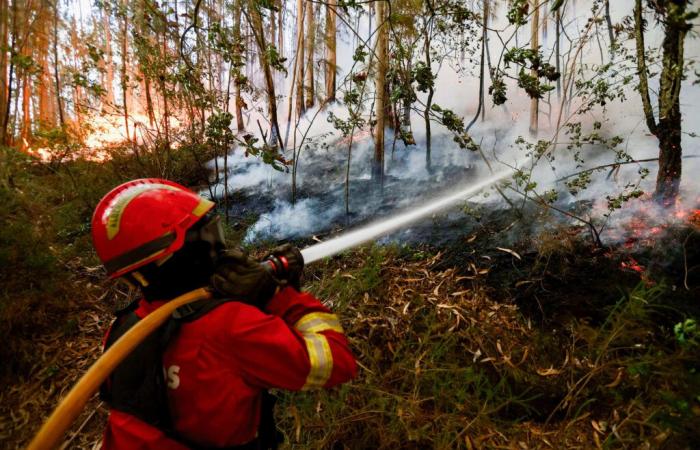 Au moins sept morts dans les pires incendies de l’été