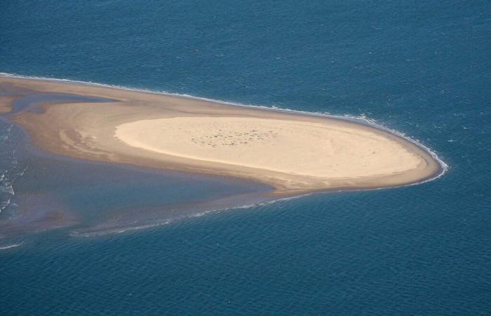 quelle est cette île mystérieuse apparue en Gironde ?