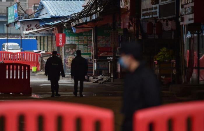 L’hypothèse du marché de Huanan, plutôt que celle du laboratoire de Wuhan, alors que l’origine de la pandémie de COVID-19 prend de l’ampleur