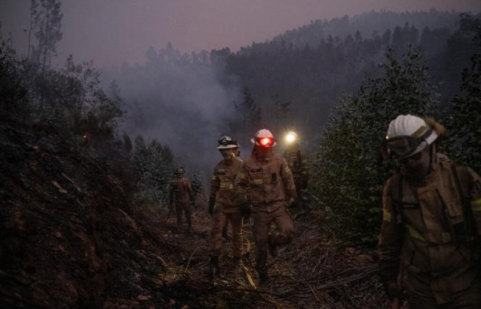 Au Portugal, de violents incendies ravagent des habitations