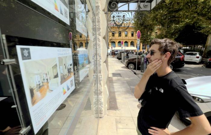 Les écologistes veulent baisser le prix des loyers étudiants et voici comment ils comptent y parvenir