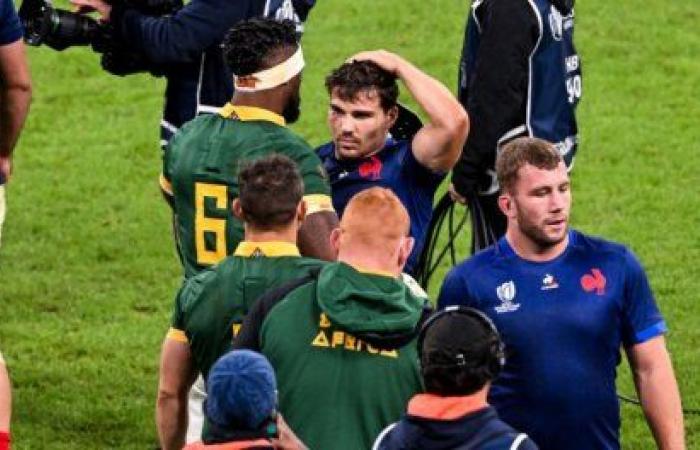 Comment la FFR a aidé les Springboks à battre les Blues…