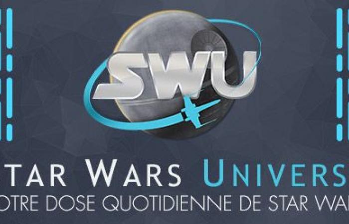 Le thème de Rey à environ 1000 km de chez vous ! • Actualités de la communauté • Univers Star Wars