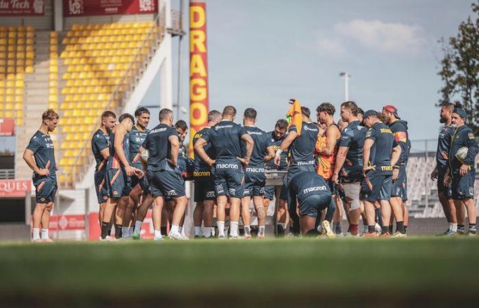 Une préparation très particulière pour les Dragons Catalans