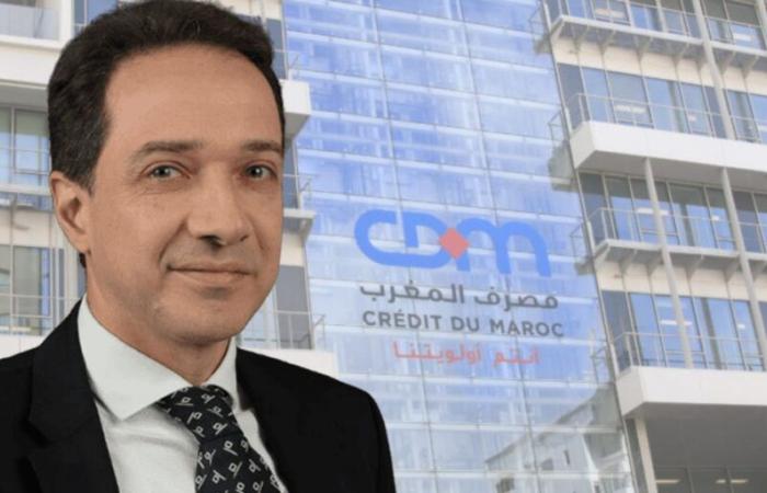 Ali Chorfi nommé membre du conseil d’administration