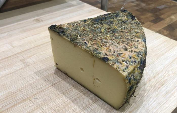 Des fromages contaminés, vendus dans plusieurs magasins, rappelés dans toute la France