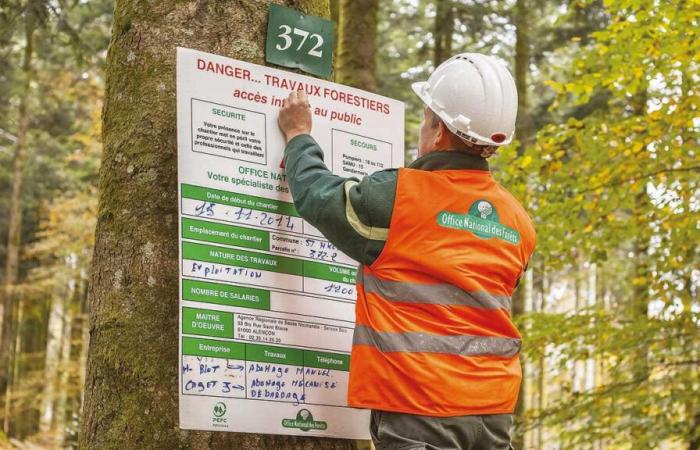 Tous en forêt le 25 septembre en Essonne