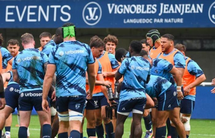 L’attaquant de Montpellier postule pour le XV de France