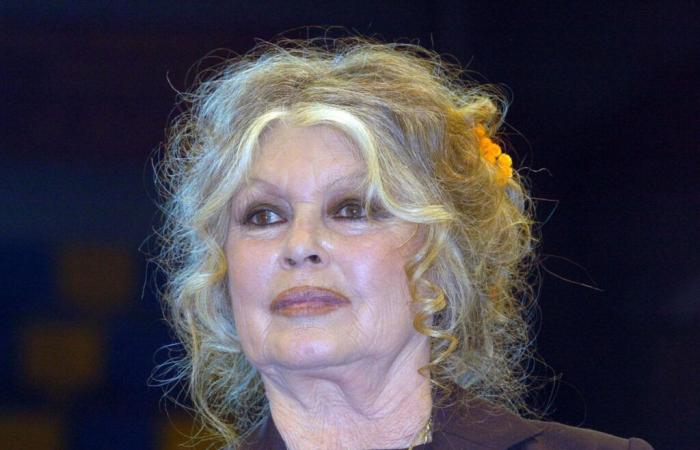 santé, deuil… Brigitte Bardot n’est pas épargnée