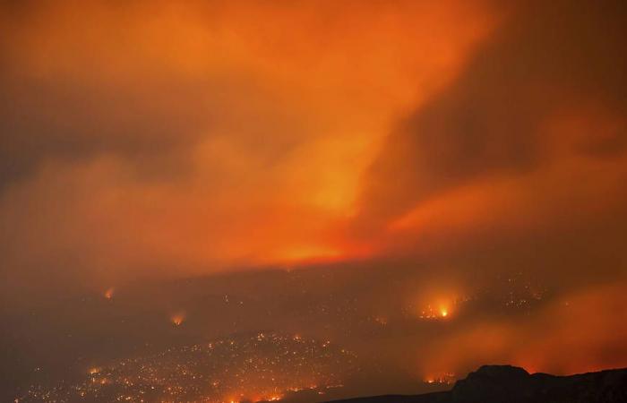 Plus de 9 000 hectares brûlés par les feux de forêt