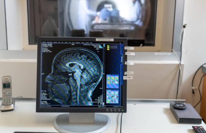 Des scientifiques montrent les effets réels de la grossesse sur le cerveau de la mère – Libération