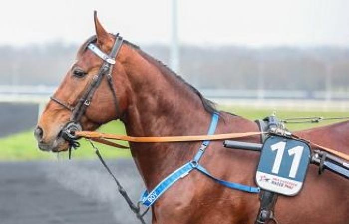 Go On Boy conserve son titre – Trot