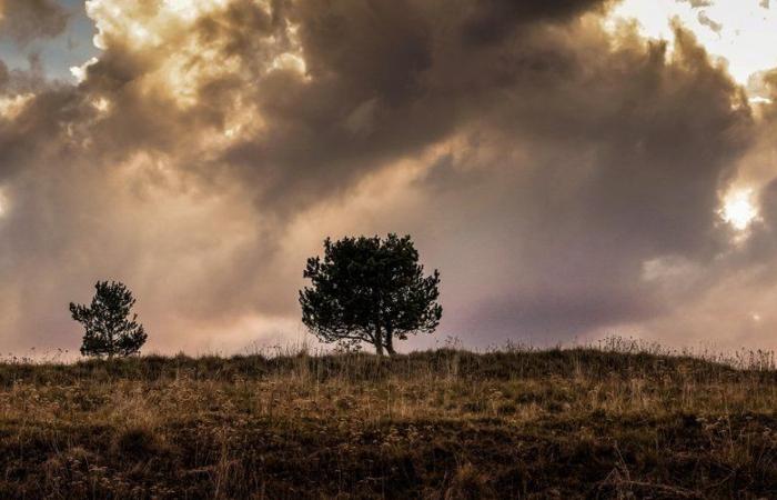 La Gard placée en alerte jaune pour pluie, inondations et orages