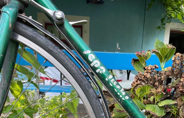 Sepp Fuchs, Fredy Rüegg et compagnie lisent d’autres vélos