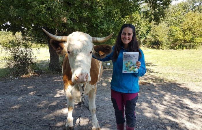 De l’Aubrac au zébu mahorais, son livre fait le tour des vaches de France