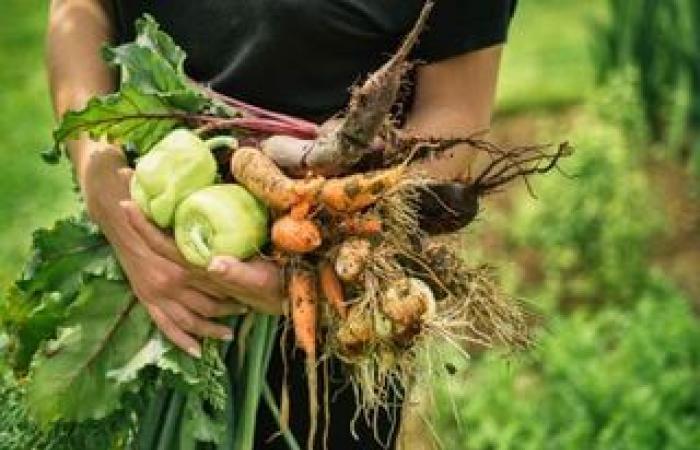 À quoi s’attendre la semaine prochaine ?