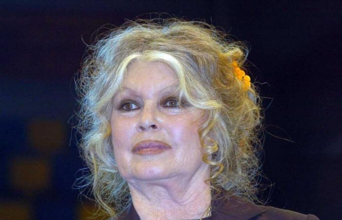 Brigitte Bardot très amère envers la famille d’Alain Delon, « cette dernière année a été lamentable »