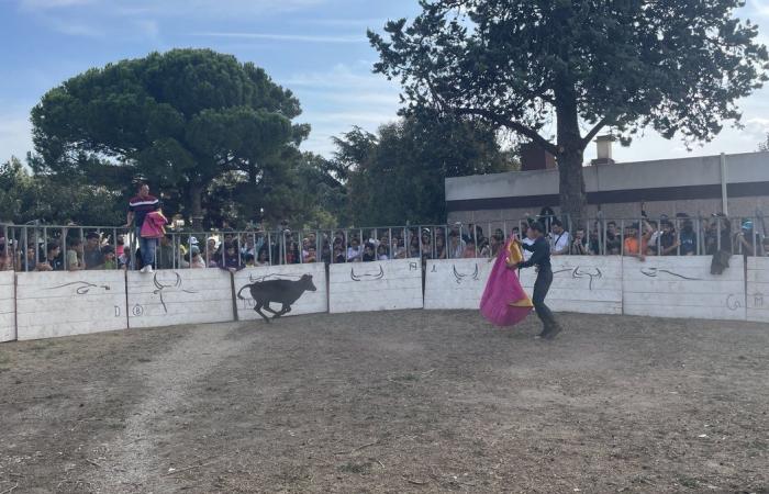 ARLES Retour en images sur la première journée taurine à Barriol