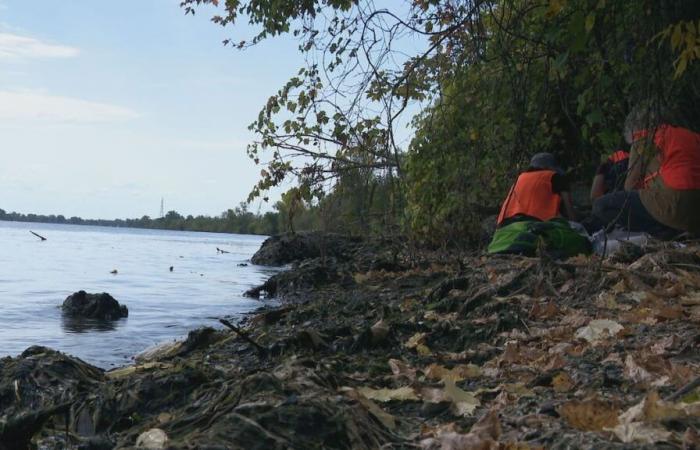 Projet Northvolt en Montérégie : les citoyens craignent des déversements contaminés