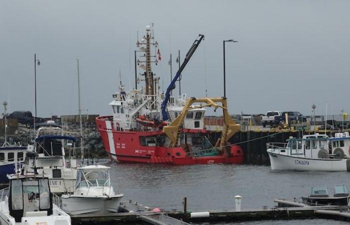 Première mission scientifique indépendante sur le homard en Gaspésie