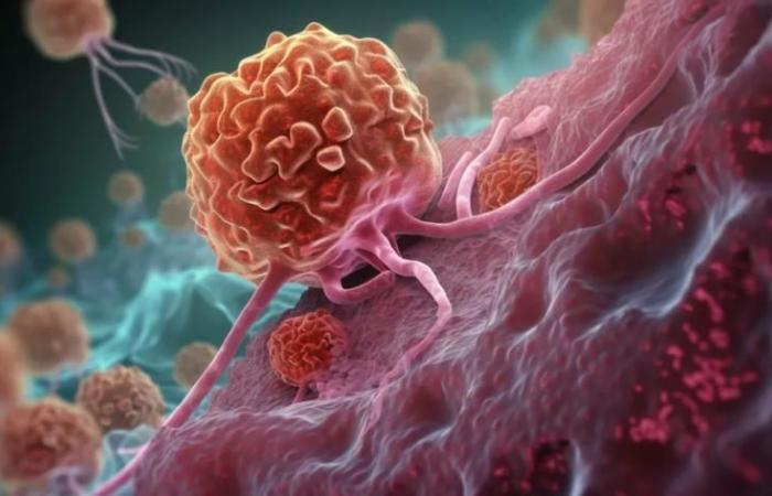 Ces micro-organismes constituent un facteur de risque majeur pour le développement du cancer