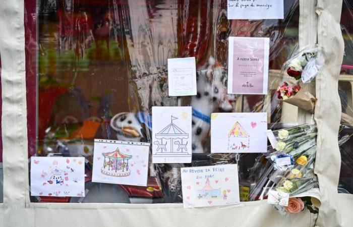 « Une marchande de bonheur », « une grande perte pour la ville »… Les hommages affluent après la mort de Sonia Lesage, depuis le carrousel du parc de Nevers