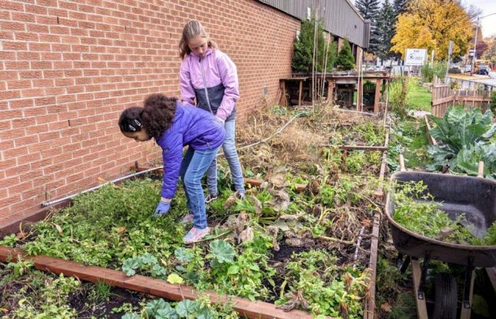 Mobiliser les jeunes pour lutter contre le changement climatique