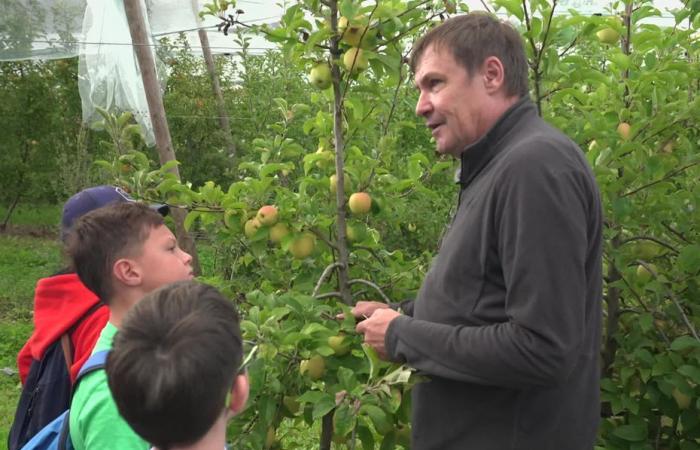 Journées du patrimoine. « Pas facile d’arriver à leur niveau ! » Ces agriculteurs font visiter leur ferme aux écoliers