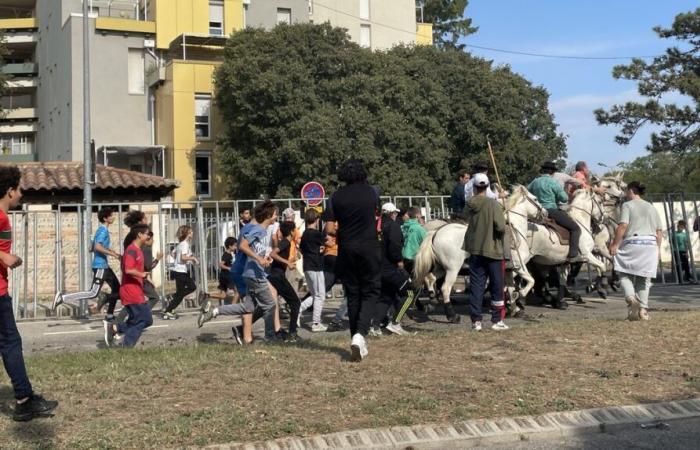 ARLES Retour en images sur la première journée taurine à Barriol