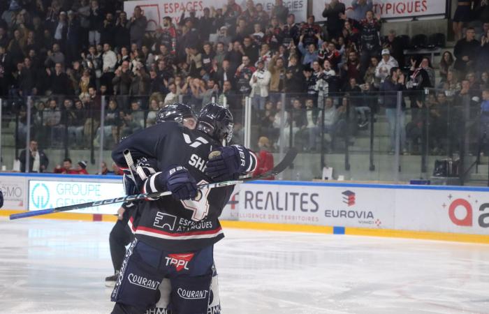 Brady fait son coup (Angers – Bordeaux, Ligue Magnus, 2e Journée)