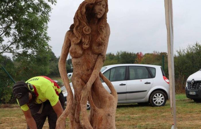 VIDÉO. Le championnat de France de sculpture à la tronçonneuse enchante le salon Brûlon