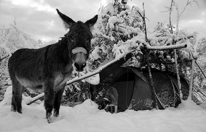 des Alpes à la Perse, cette photographe retrace son épopée de cinq ans dans un livre