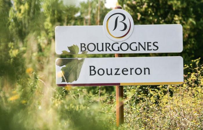 Vosne-Romanée, Gevrey-Chambertin, Volnay… Sur la route des Grands Crus de Bourgogne, toutes les enseignes sont à vendre !