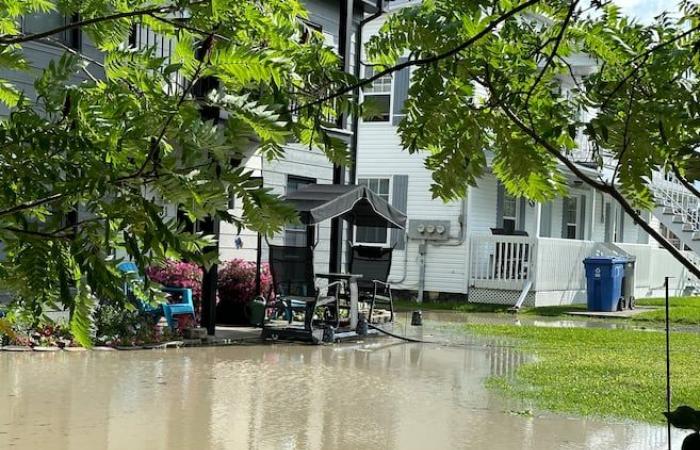 Les observateurs doutent de l’avenir des appartements en sous-sol