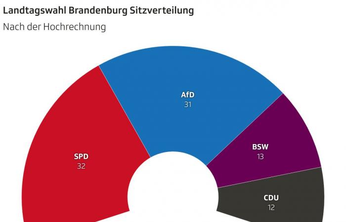 Élections du Land de Brandebourg – le SPD l’emporte contre l’AfD – Actualités