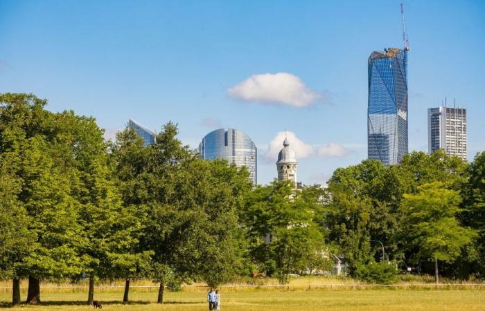 Un corps enterré découvert dans le bois de Boulogne à Paris