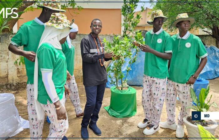 SENEGAL-ENVIRONNEMENT / Une vingtaine de jeunes formés aux techniques de jardinage à Thiès – Agence de presse sénégalaise