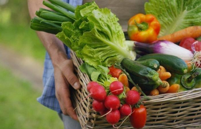 Une conserverie de légumes verra bientôt le jour à La Hague