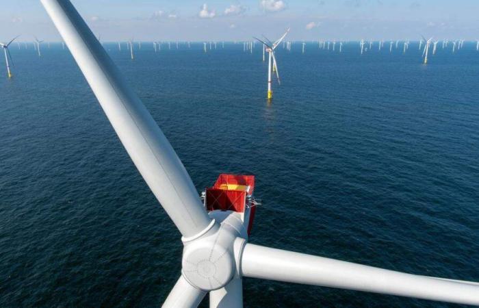 L’éolien offshore belge déploie ses ailes