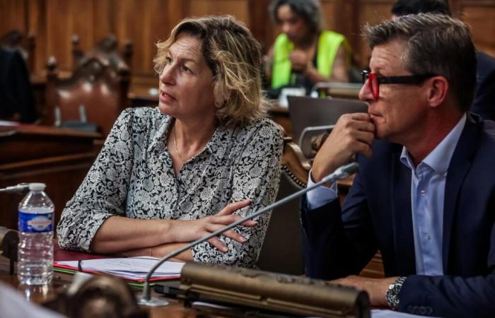 Qui est Nathalie Delattre, l’élue girondine envoyée au front parlementaire ?