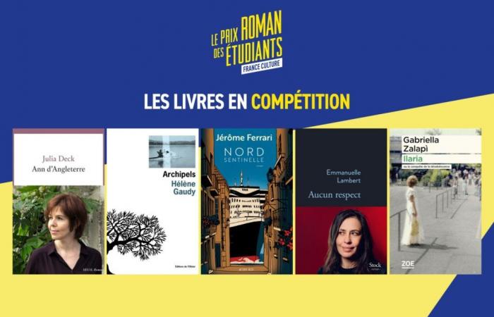 Les 5 titres en lice pour le Prix du Roman Etudiant France Culture 2024