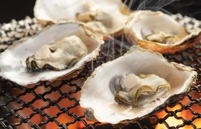 50 personnes malades suite à une contamination lors d’un festival de fruits de mer