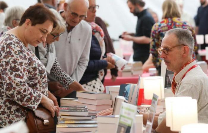 Besançon. Plus de 30 000 visiteurs à Books in the Loop