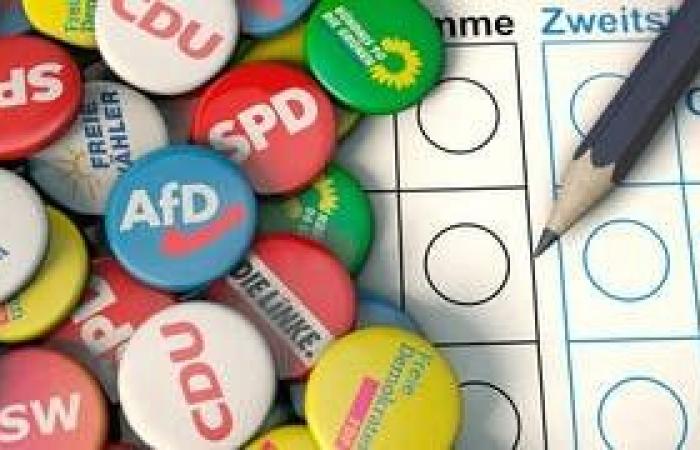 Projection pour les élections régionales dans le Brandebourg : le SPD juste devant l’AfD