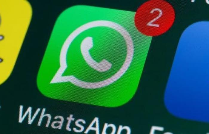 Le « faux Brad Pitt » extorque 325 000 euros à deux femmes en ligne et sur Whatsapp