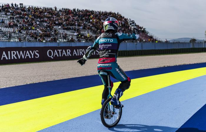 Le cirque Alonso arrive à Misano